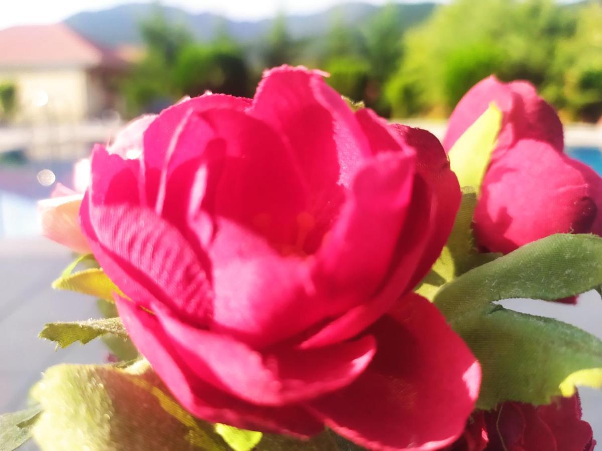 Bliss Hotel Gabala Εξωτερικό φωτογραφία