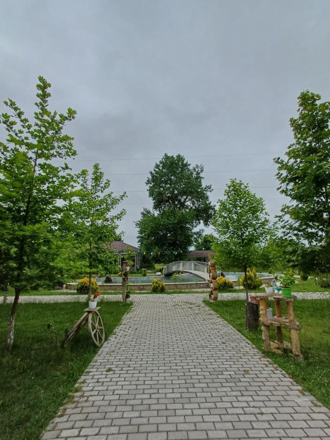 Bliss Hotel Gabala Εξωτερικό φωτογραφία